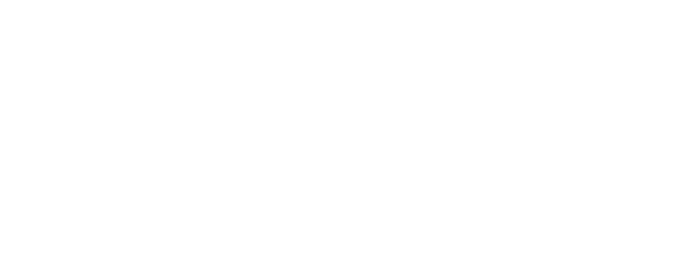 GPX — Graphene Performance Excellence